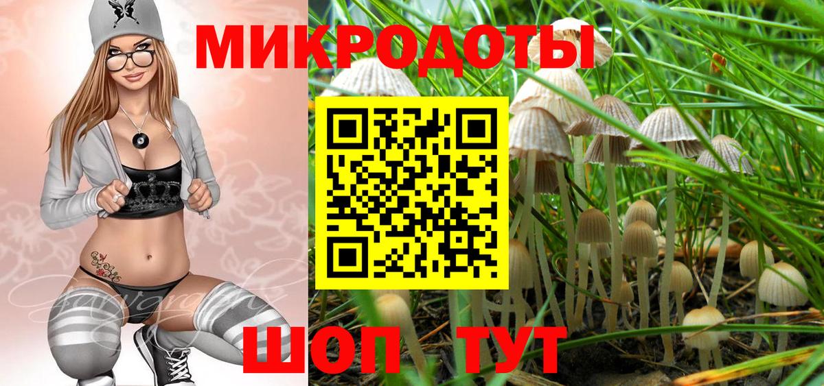 Белебей  Галлюциногенные грибы Psilocybine cubensis  Вход с VPN 